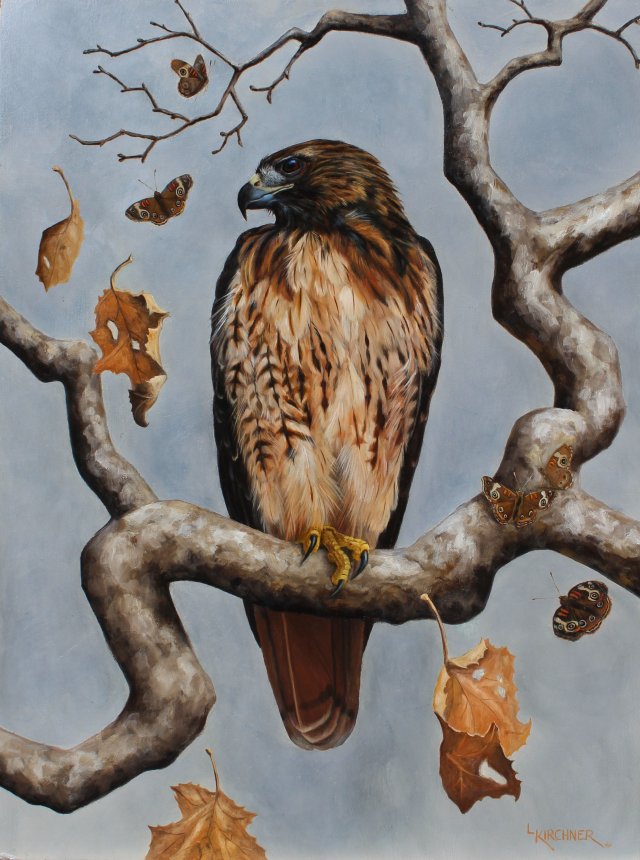 Leslie Kirchner, leslie kirchner art, leslie kirchner artist, western artist, western art, nature art, nature artist, wildlife art, wildlife artist, hawk, hawk art, hawk painting, redtail hawk, redtail hawk art, redtail hawk painting, buckeye butterflies