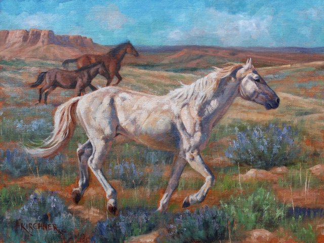 Leslie Kirchner, leslie kirchner art, leslie kirchner artist, wildlife art, wildlife artist, western art, western artist, nature art, nature artisLeslie Kirchner, leslie kirchner art, leslie kirchner artist,wild horse, wold horses, mustangs, white horse, running horse. running horse art, mustang art, 