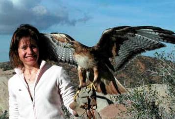 Leslie Kirchner Artist with Red-tailed Hawk