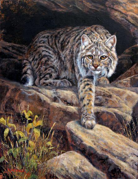 bobcat, bobcat art, bobcat painting, bobcat oil painting, nature art, nature painting, western art, wildlife art, wildlife art painting,leslie kirchner, leslie kirchner art, leslie kirchner painting, leslie kirchner artist, worth getting up for bobcat