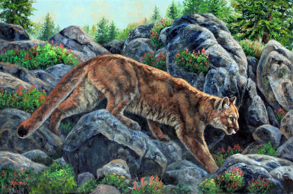 Cougar, cougar art, cougar painting, leslie kirchner, leslie kirchner art, wild cat, wild cat art, western wildlife, western wildlife art,mountain lion, mountain lion art, moutain lion painting, nature art, nature artists, western art, nature art, nature artists, leslie kirchner, leslie kirchner art, mountain lion, mountain lion art, mountain lion painting, mountain lion oil painting