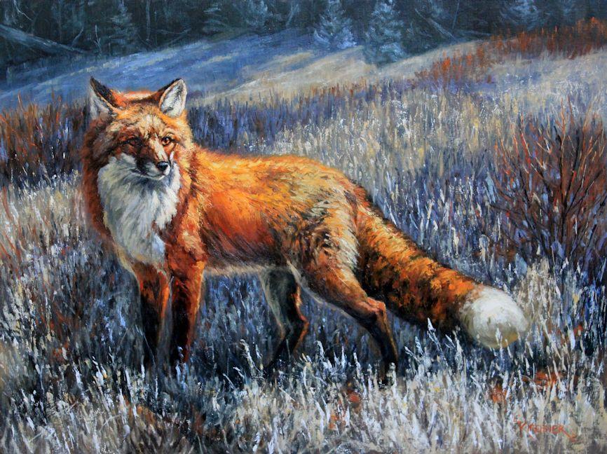Red fox, red fox art, red fox painting, western art, red fox oil painting, leslie kirchner, leslie kirchner art, western wild life, western wildlife painting, nature art, nature artists, canid, vulpes, vulpes, vulpes vulpes