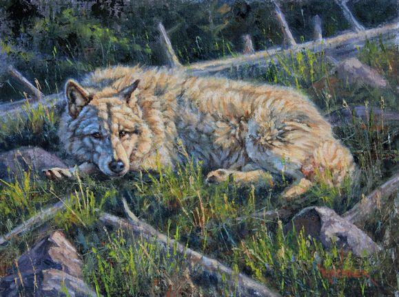 Arctic wolf, arctic wolf art, arctic wolf painting, artctic wolf laying down, arctic, nature art, nature artist, arctic wolf painting, arctic wolf art, wolf, wolves, gray wolves, timber wolves, wildlife art, wildlife painting, western art, western painting, leslie kirchner, leslie kirchner art, leslie kirchner wolf art, wildlife painting,