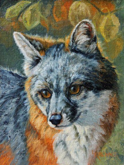 leslie kirchner, leslie kirchner art, leslie kirchner artist, wildlife art, wildlife artist, western art, western artist, grey fox art, gray fox art, grey fox painting, gray fox painitng, oil painting, fox, fox art, fox oil painting, nature art, nature artist, canid art, wild canid, gray fox art