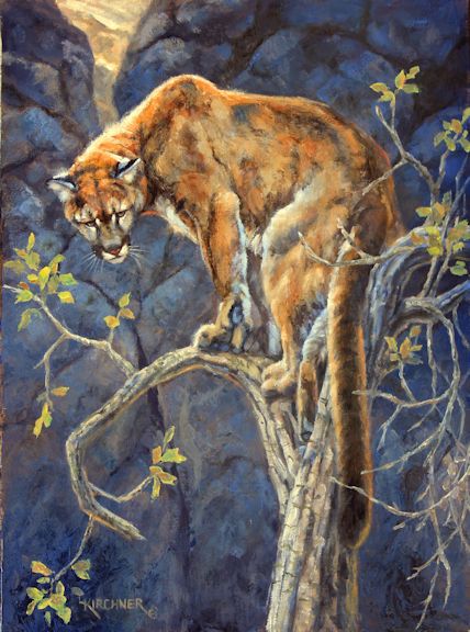 Leslie Kirchner, leslie kirchner art, western art, western artist, wildlife art, wildlife artist, nature art, nature artist, cougar art, cougar, cougar painting, mountain lion art, mountain lion painting, mountain lion