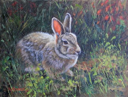 kirchner, leslie kirchner art, bunny, bunny art, rabbit painting, oil painting, wild rabbit, wildlife art, western art, nature art, nature artist, cottontail rabbit, 