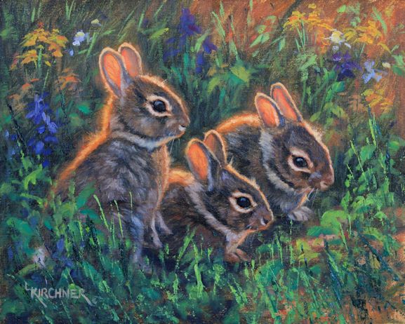 Leslie Kirchnerleslie kirchner art, leslie kirchner artist, nature art, nature artist, western art, western artist, wildlife art, wildlife artist, rabbit painting, rabbit art, wild rabbit art, wild rabbits, baby rabbits, baby rabbit art, baby rabbit painting, baby bunnies, baby bunny art, baby bunny paintings