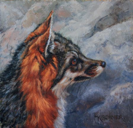 Leslie Kirchner, leslie kirchner artist, leslie kirchner wildlife artist, leslie kirchner art, nature artist, nature art, western art, western artist, wildlife artist, wildlife art, grey fox, grey fox art, gray fox, gray fox art, grey fox painting, gray fox painting, oil painting, wild canid, wild canid art