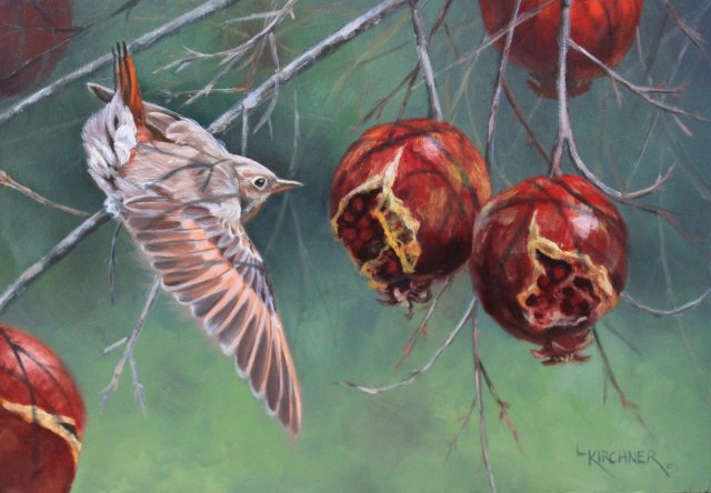 Leslie Kirchner, Leslie Kirchner artist, bird art, bird paintings, wildlife art, wildlife paintings, nature art, nature artist, western art, western artist, oil painting, hermit thrush, pomegranites, hermit thrush and pomegranites