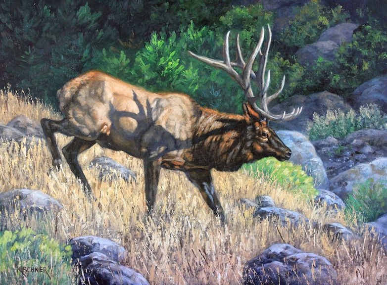 Leslie Kirchner, Leslie Kirchner Art, Leslie Kirchner Artist, western artist, wildlife artist, nature artist, nature artists, western art, wildlife art, nature art, Bull elk, bull elk art, bull elk painting, elk art, elk painting, north american elk art