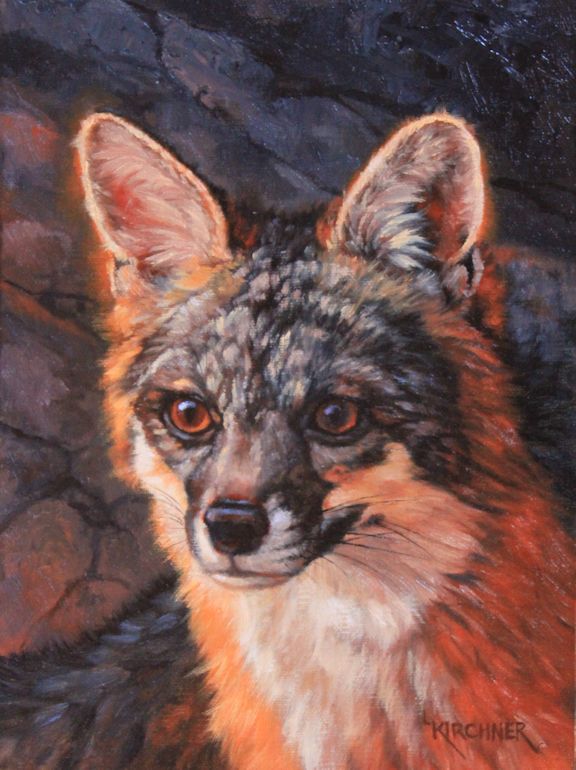 Leslie Kirchner, Leslie Kirchner Artist, wildlife artist, western artist, nature artist, nature artists, wildlife art, western art, nature art, oil painting, canid, canid art, wild canid, fox art, grey fox art, gray fox art, grey fox, gray fox, grey fox painting