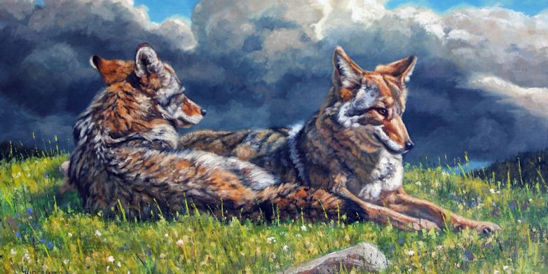 Leslie Kirchner, leslie kirchner artist, wildlife artists, wildlife art, western art, western artist, nature artists, nature artist, nature art, canid canid art, coyote, coyotes, coyote art, coyote artwork, coyote painting, coyote pair