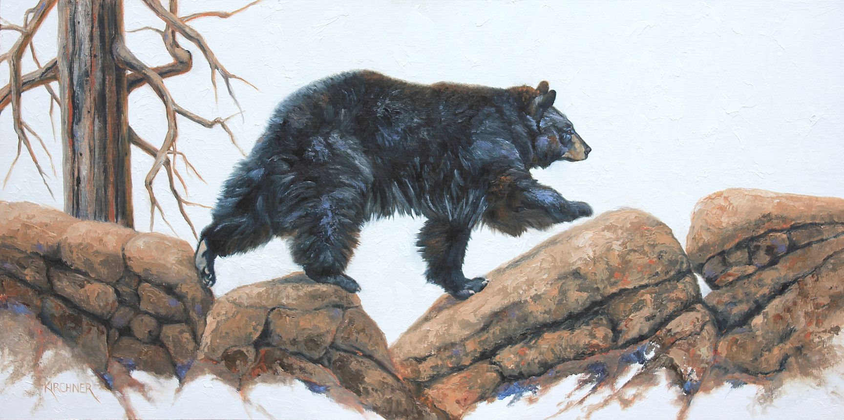 Leslie Kirchner, leslie kirchner art, lesliekirchner artist, wildlife artist, western artist, nature artist, western art, wildlife art, nature art, black bear, black bear walking, black bear art, black bear painting, black bears, ursus americanus