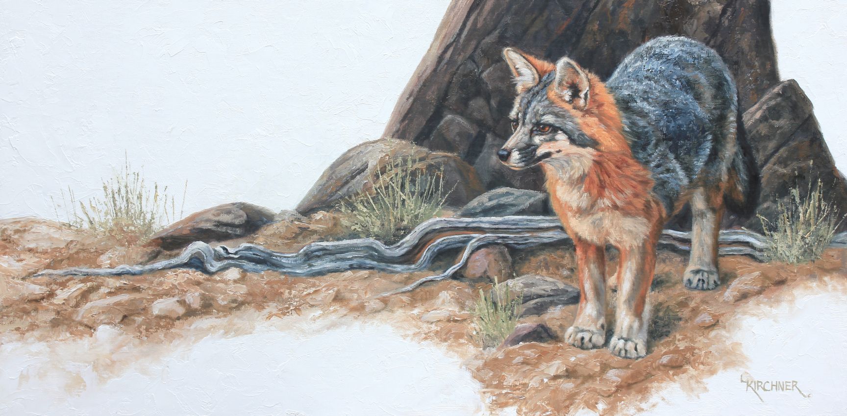 Leslie Kirchner, leslie kirchner art, leslie kirchner artist, western art, wildlife art, nature art, wildlife artist, western artist, nature artist, wild canid, fox, gray fox, greay fox, grey fox art, grey fox painting, gray fox art, gray fox painting
