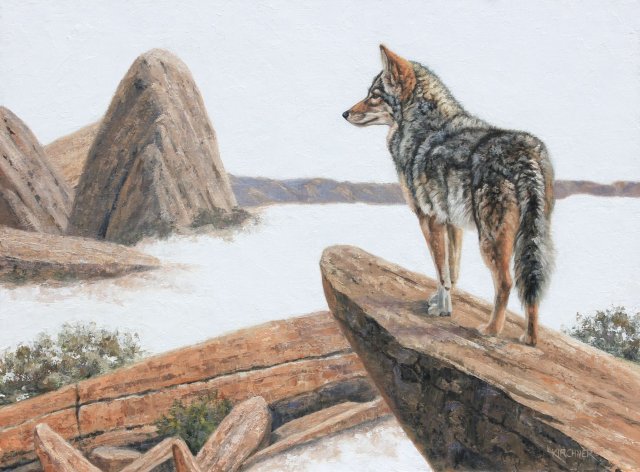 Leslie Kirchner, leslie kirchner art, leslie kirchner artist, wildlife artist, western artist, nature artist, western art, wildlife art, nature art, wild canid, wild dog, coyote, coyote painting, coyote art