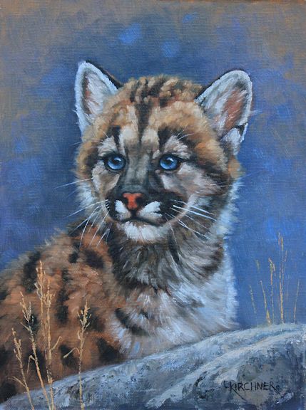 Leslie Kirchner, leslie kirchner artist, western art, western artist, wildlife artist, wildlife art, nature art, nature artist, cougar, cougar cub, wild cat, mountain lion, mountain lion cub, nrth american cougar