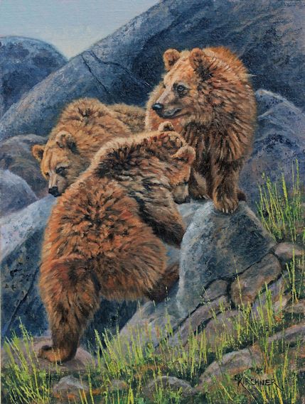 Leslie Kirchner, leslie kirchner art, leslie kirchner artist, western artist, wildlife artist, nature artist,nature art, western art, wildlife art, bear art, grizzly bear , grizzly bear cubs, bear cubs, bears, bear artart, 