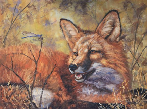 leslie kirchner, leslie kirchner artist, wildlife art, wildlife artist, nature art, nature artist, western art, western artist, fox art, fox painting, red fox, red fox art, red fox painting, fox art