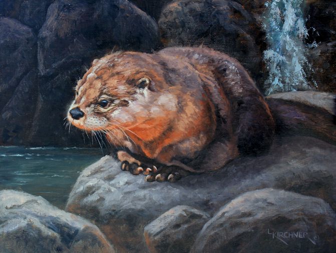 Leslie Kirchner, leslie kirchner art, leslie kirchner artist, wildlife art, wildlife artist, western art, western artist, nature art, nature artist, otters, otter, otter art, otter painting, river otters, river otter art, river otter painting