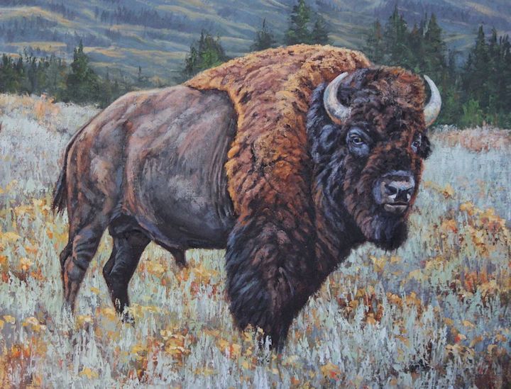 Leslie Kirchner, leslie kirchner art, leslie kirchner artist, wildlife art, wildlife artist, western art, western artist, nature art, nature artist, bison, bison art, bison painting, buffalo, buffalo art, buffalo painting, yellowstone, yellowstone painting, yellowstone bison, yellwostone bison painting