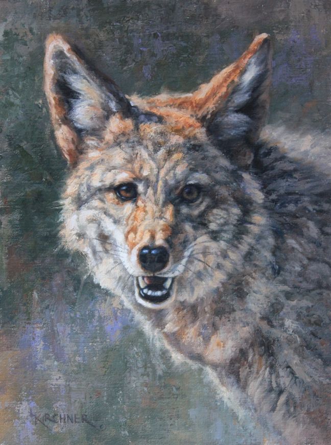 Leslie Kirchner, leslie kirchner art, leslie kirchner artist, wildlife art, wildlife artist, nature art, nature artist, western art, western artist, canid, wild canid, coyote, coyote art, coyote painting, coyote artwork