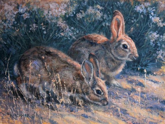 Leslie Kirchner, leslie kirchner art, leslie kirchner artist, wildlife art, wildlife artist, western art, western artist, nature art, nature artist, wildlife art, wildlife artist, rabbits, rabbit painting rabbit art, cottontail rabbits, cottontail rabbit art, cottontail rabbit painting