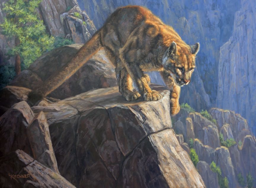 Leslie Kirchner, leslie kirchner art, leslie kirchner artist, wildlife art, wildlife artist, western art, western artist, nature art, nature artist, cougar, cougar art, cougar painting, mountain lion, mountain lion art, mountain lion painting