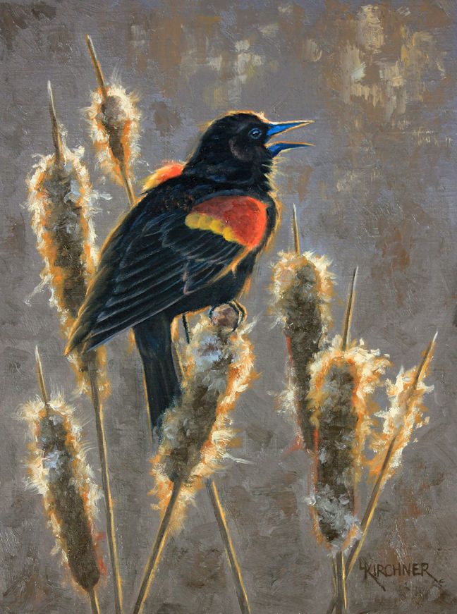 Leslie Kirchner, leslie kirchner artist, wildlife art, wildlife artist, nature art, nature artist, western art, western artist, redwing blackbird, redwing blackbird art, redwing blackbird cattail, redwing blackbird cattail art