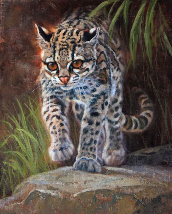 Leslie Kirchner, leslie kirchner art, leslie kirchner artist, western art, western artist, nature art, nature artist, wildlife art, wildlife artist, cat art, cat painting, wild cat art, margay, margay art, margay painting