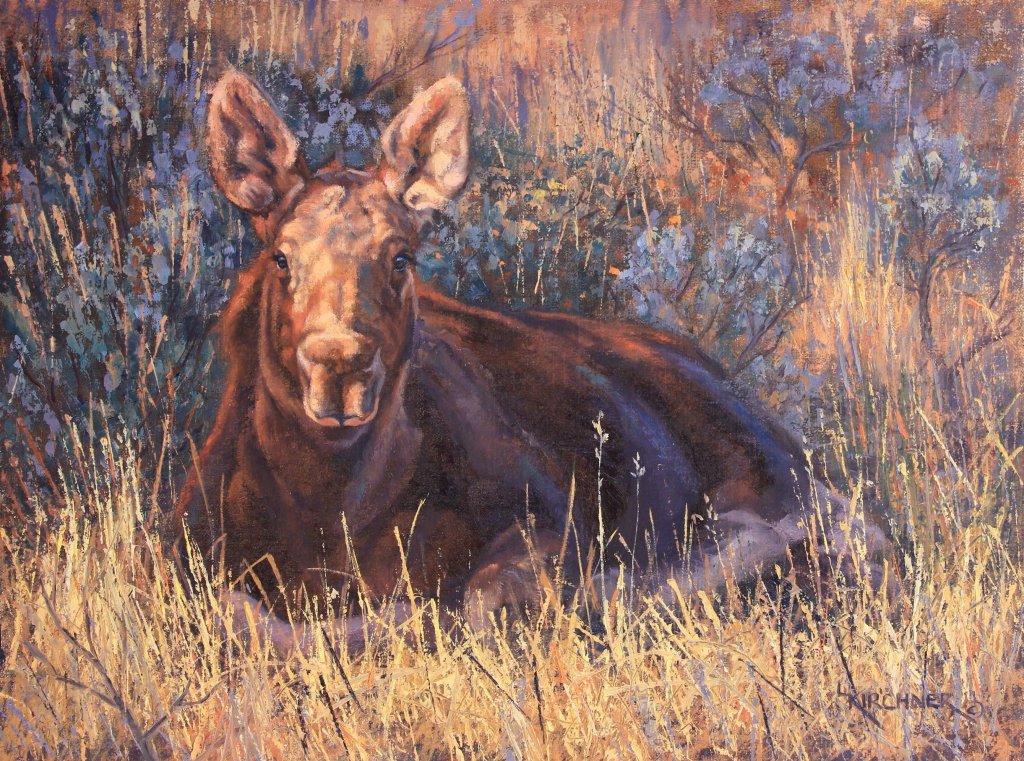 Leslie Kirchner, leslie kirchner artist, leslie kirchner art, wildlife art, wildlife artist, western art, western artist, nature art, nature artist, moose art, moose calf art, moose painting, moose calf painting