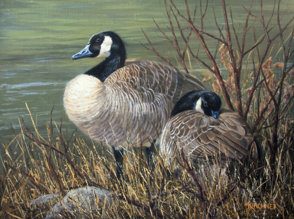 Leslie Kirchner, leslie kirchner art. leslie kirchne artist, nature art, nature artist, wildlife art, wildlife artist, western art, western artist, geese, geese art, geeses painting, canada geese, canada geese painting, canada geese art, canada goose pair, canada goose art, canada goose