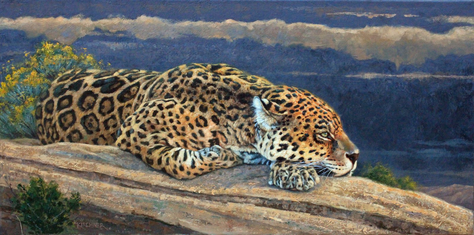 Leslie Kirchner, leslie kirchner art, leslie kirchner artist, wildlife art, wildlife artist, western art, western artist,nature art, nature artist, big cat art, big cat paintings, north american big cats, jaguar, endangered cats, jaguar art, jaguar paintings, spotted jaguar