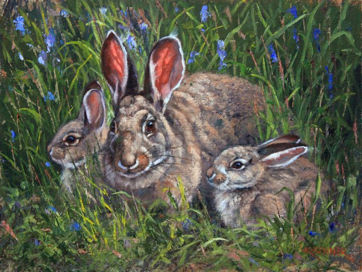 Leslie Kirchner, leslie kirchner art, leslie kirchner artist, western art, western artist, wildlife art, wildlife artist, nature art, nature artist, rabbits, baby rabbits, rabbit family, cotton tail rabbits, rabbit art, rabbit paintings, cottontail art, cottontail paintings, hares, rabbits and hares, rabbit and hare art, bunnies, bunny art, bunny paintings