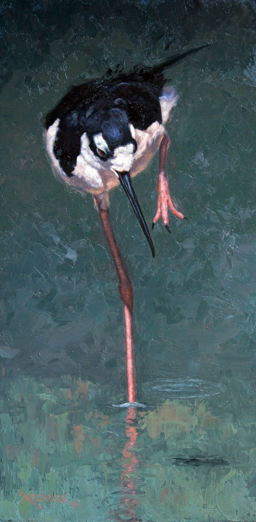 Leslie Kirchner, leslie kirchner art, nature art, nature artist, wildlife art, wildlife artist, western art, western artist, bird art, bird painting,heron, heron art, egret, egret art, avocet, avocet art, black necked stilt, black necked stilt painting, longlegged bird, shorebird, stilt