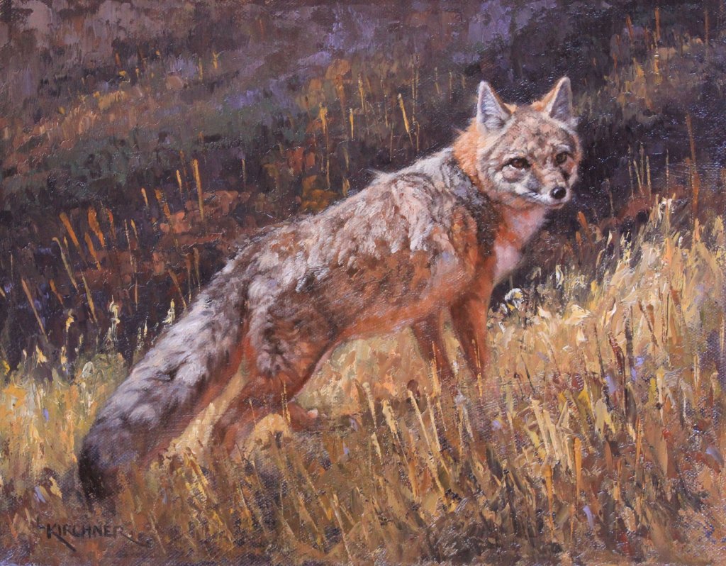 Leslie Kirchner, leslie kirchner art, leslie kirchner artist, wildlife art, wildlife artist, western art, western artist, nature art, nature artist, fox art, fox painting, swift fox, endangered swift fox, swift fox art, swift fox painting