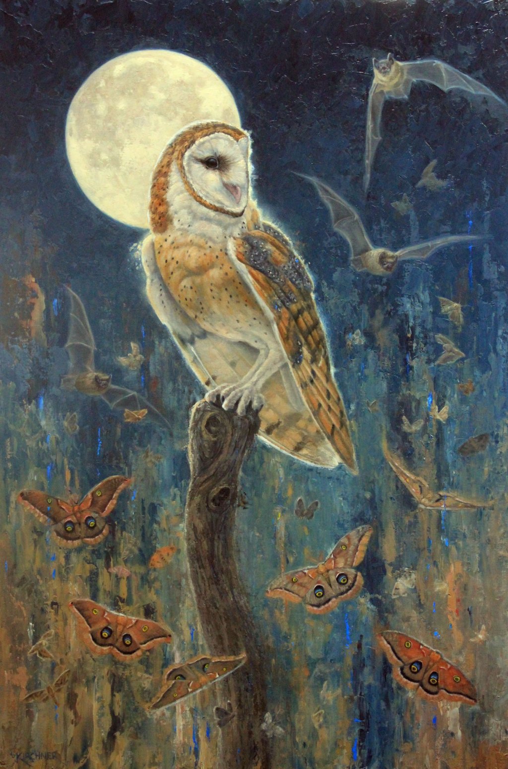 Leslie Kirchner, leslie kirchner art, leslie kirchner artist, wildlife art, wildlife artist, western art, western artist, nature art, nature artist, contemporary wildlife art, owl art, barn owl, barn owl art, bats, polyphemus moths, barn owl painting