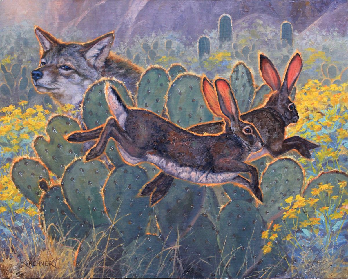 Leslie Kirchner, leslie kirchner art, leslie kirchner artist, western art, western artist, wildlife art, wildlife artist, nature art, nature artist, coyote art, coyote, coyote painting, rabbits rabbit art, hare, hare art, jackrabbits, jackrabbit art, jackrabbit painting, blacktailed jackrabbits