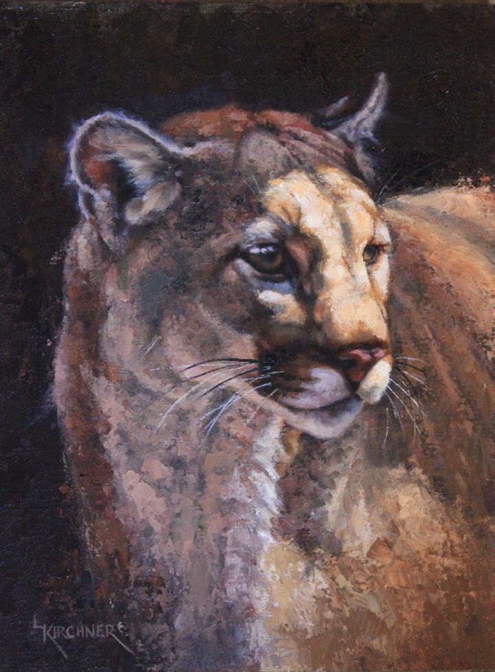 Leslie Kirchner, leslie kirchner art, leslie kirchner artist, wildlife art, wildlife artist, western art, western artist, cat art, cat, wildcat, wildcat art, cougar, cougar art, mountain lion, mountain lion art, mountain lion painting, cougar oil painting