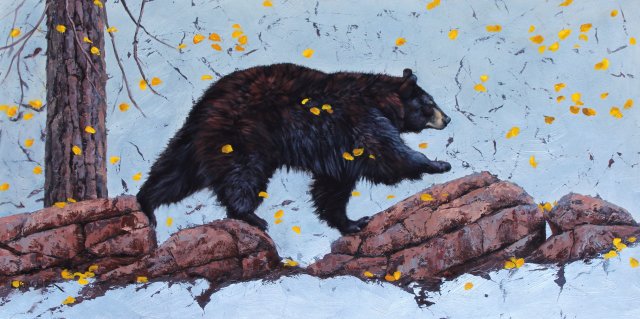 leslie kirchner, leslie kirchner art, wildlife art, wildlife artist, nature art, nature artist, western art, western artist, bear, bear art, black bear, black bear art, black bear painting