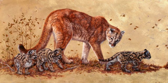 Leslie Kirchner, leslie kirchner art, wildlife art, wildlife artist, western art, western artist, nature art, nature artist, cougar, cougar art, mountain lion, mountain lion art, cougar and cubs, cougar and cubs art, cougar painting, cougar and cubs painting, mountain lion and cubs painting