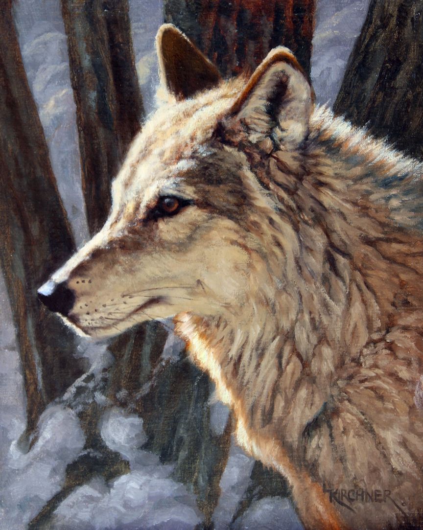 Leslie Kirchner, leslie kirchner art, wildlife art, wildlife artist, nature art, nature artist, western art, western artist, wolf, wolf art, wolf painting, gray wolf