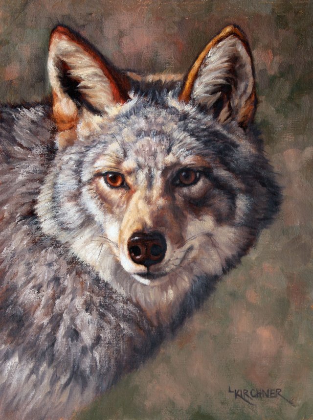 leslie kirchner, leslie kirchner art, wildlife art, wildlife artist, nature art, nature artist, western art, western artist, canine art, canine, cwolf, wolf art, coyote, coyote art, coyote painting, coyote portrait