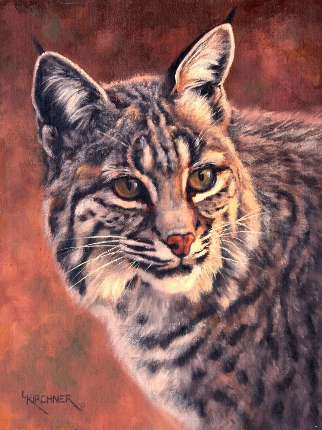 Leslie Kirchner, leslie kirchner art, nature art, nature artist, western art, western artist, cat, cat art, cat painting, feline, feline art, wild feline. bobcat, bobcat art, bobcat painting, wild cat, wild cat art, bobcat portrait 