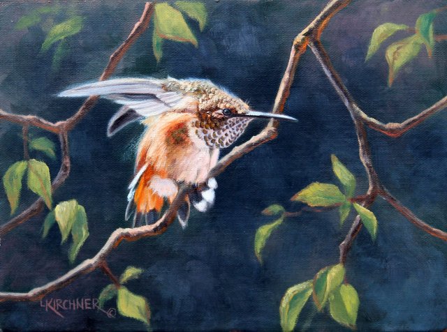 Leslie Kirchner, leslie kirchner art, wildlife art, wildlife artist, western art, western artist, nature art, nature artist, bird art, bird painting, hummingbird, hummingbird painting, hummingbird art, rufous hummingbird, rufous hummingbird art, 