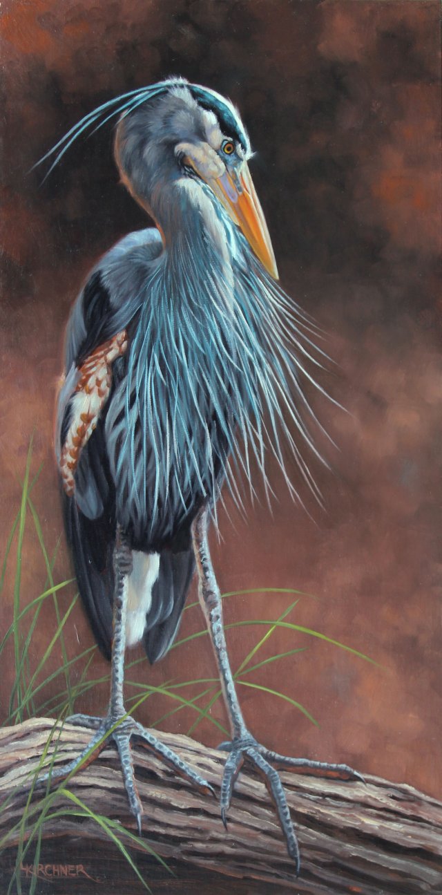 Leslie Kirchner, leslie kirchner art, wildlife art, wildlife artist, nature art, nature artist, western art, western artist, heron, heron art, heron p[ainting, great blue heron, great blue heron art, great blue heron painting, great blue heron preening