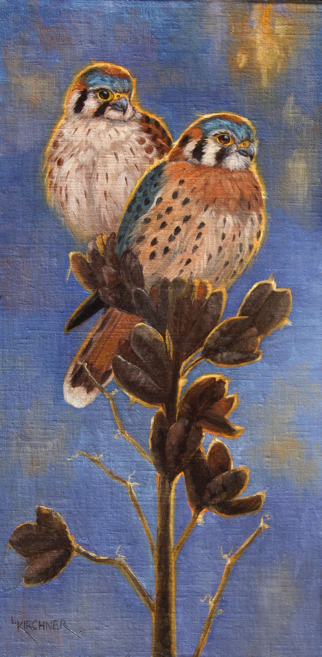 Leslie Kirchner, leslie kirchner art, nature art, nature artist, western art, western artist, wildlife art, wildlife artist, falcon, falcon art, falcon painting, falconry, falconry art, falconry painting, kestrel, kestrel pair, kestrel art, kestrel painting, bird, bird art, bird painting