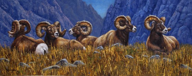 Leslie Kirchner, leslie kirchner artist, wildlife artist, western artist, nature artist, western art, wildlife art, nature art, bighorn sheep, bighorn, bighorn ram, bighorn rams, bighorn art, bighorn ram art, bighorn ram painting