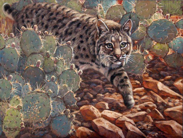 Leslie Kirchner, leslie kirchner art, leslie kirchner painting, leslie kirchner wildlife artist, leslie kirchner western artist, leslie kirchner nature artist, nature art, nature artist, western artist, wildlife artist, wildlife art, western art, nature art, bobcat, bobcat and cactus, wild cat, north american bobcat, north american wild cat, bobcat art, bobcat painting