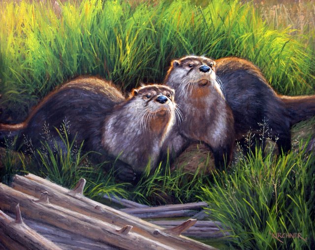 Leslie Kirchner, leslie kirchner art, leslie kirchner artist, leslie kirchner painting, otters, river otters, river otter art, river otter painting, otter art, otter painting, otter pair